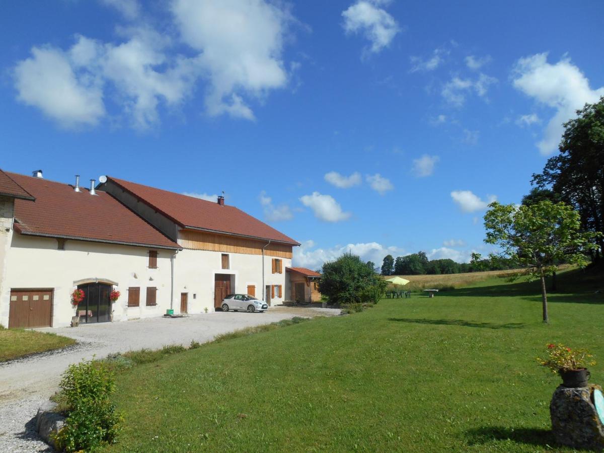 Grimont Gite Au Calme Grand Terrain Circuit Cascades Du Herisson Saugeot Zewnętrze zdjęcie